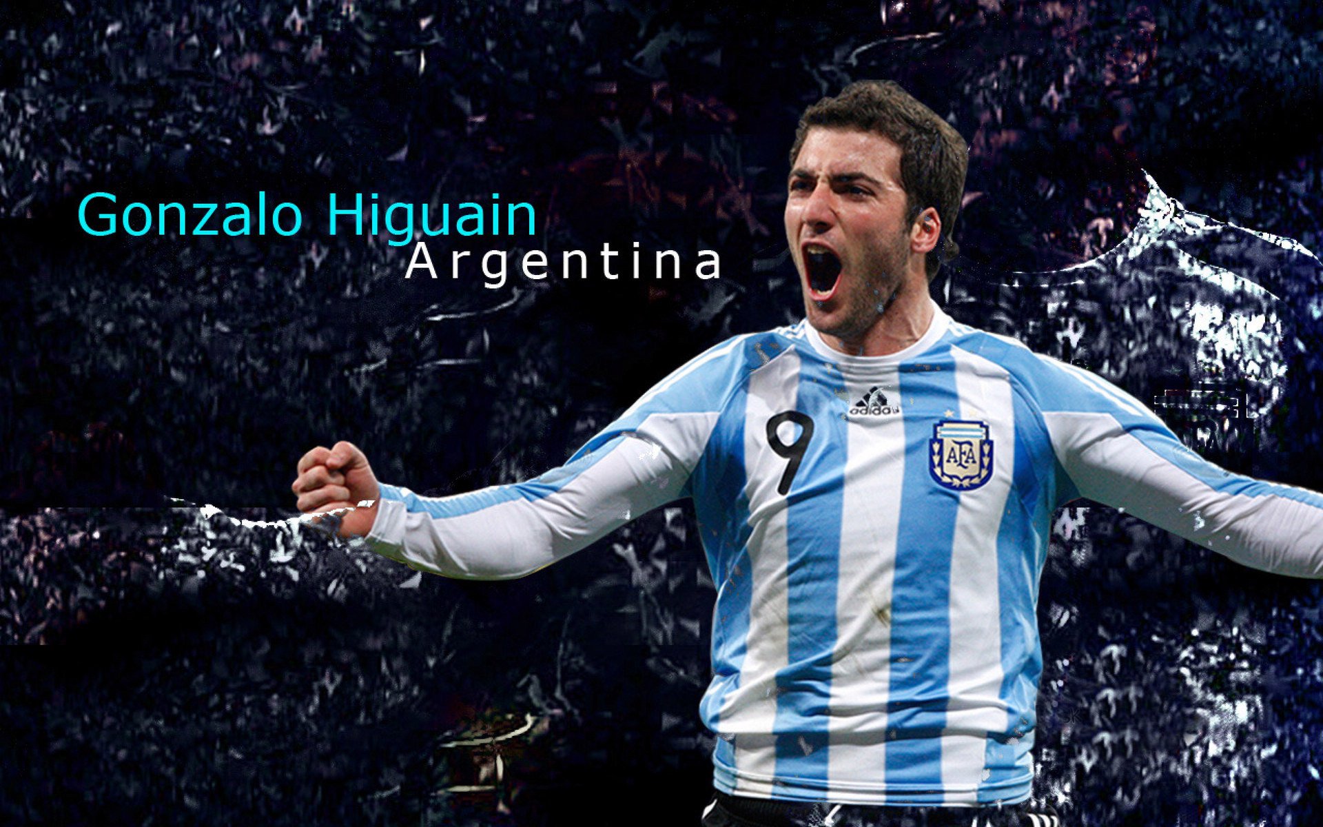 球迷投票：你支持哪一支球队夺冠？，哪支球队球迷最多